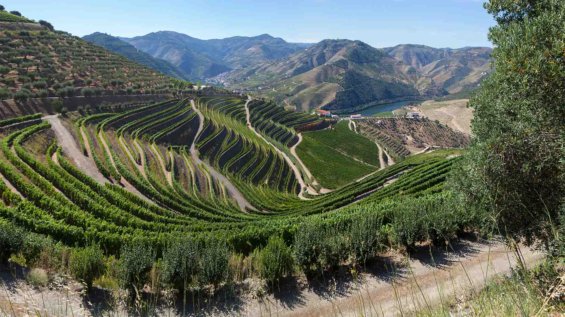 The Douro Valley area of Portugal