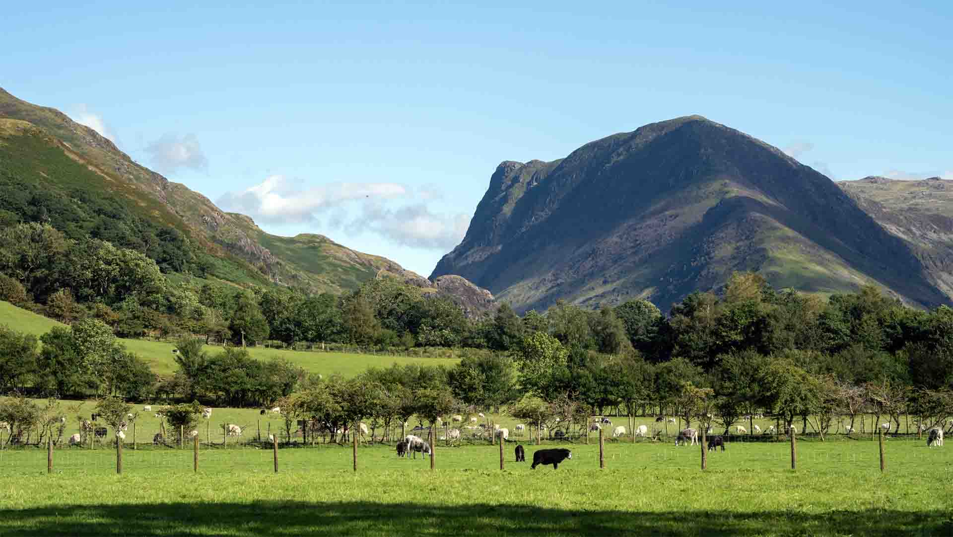 The Fairfield Horseshoe