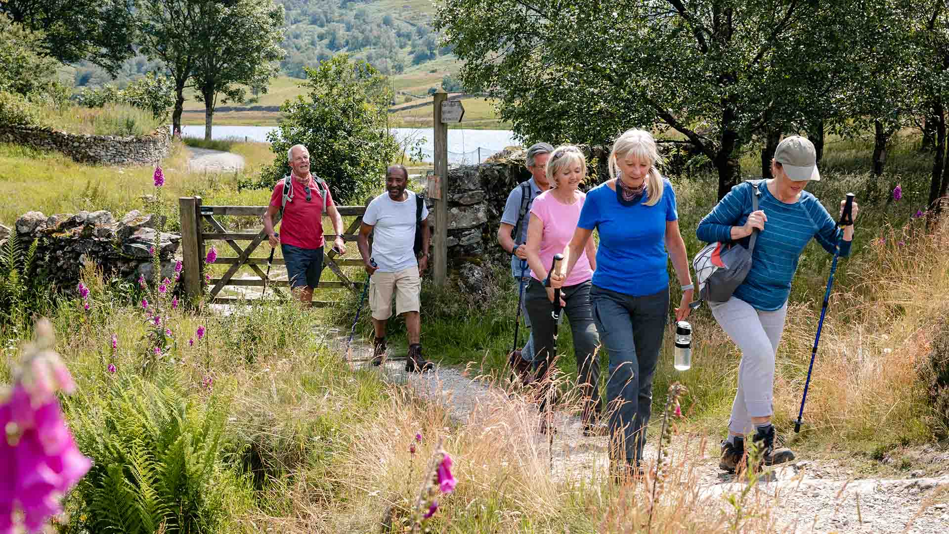 Walkers on a low level walk in the lakes