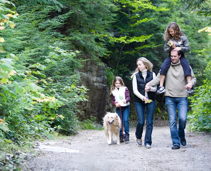 Dog walking family in the Lake District
