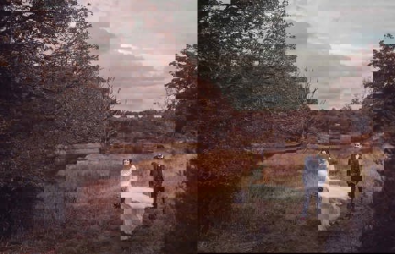 Bride and groom in the Wild Boar Estate woods