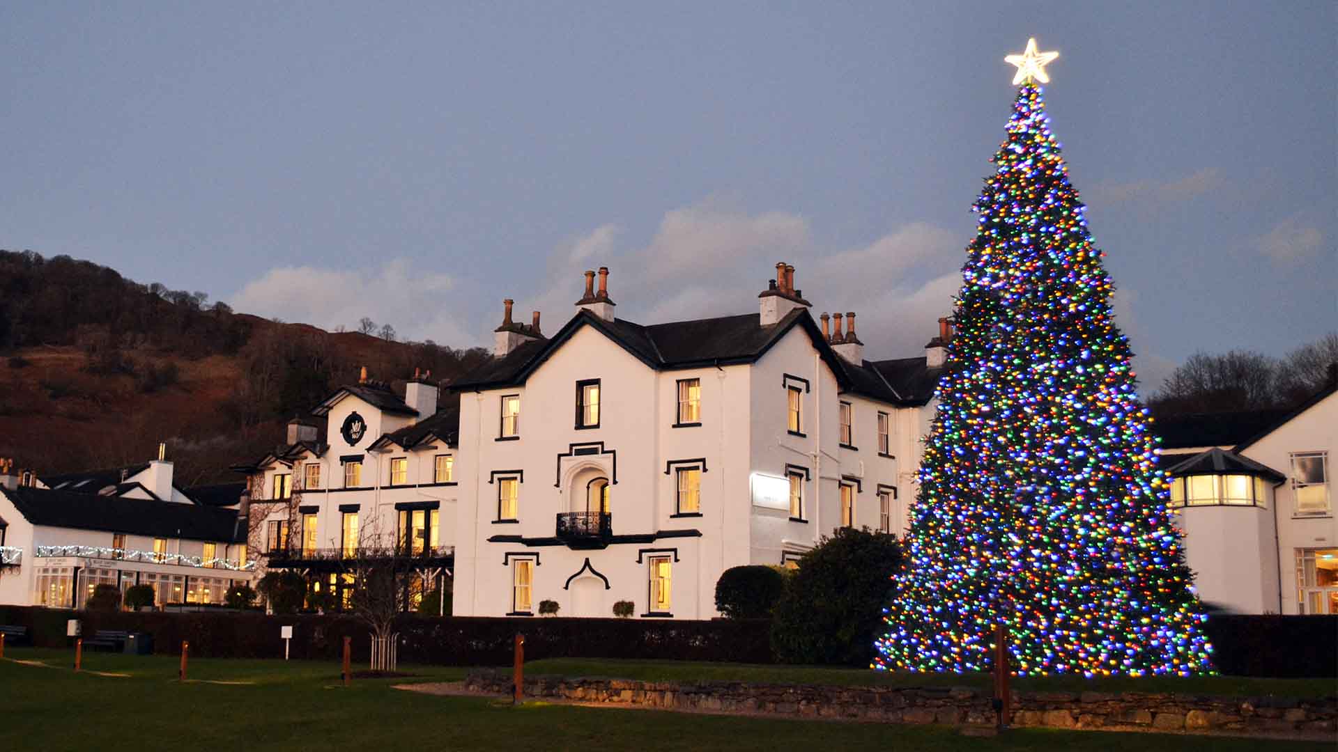 The Christmas Tree on the lakeside lawns infront of Low Wood Bay