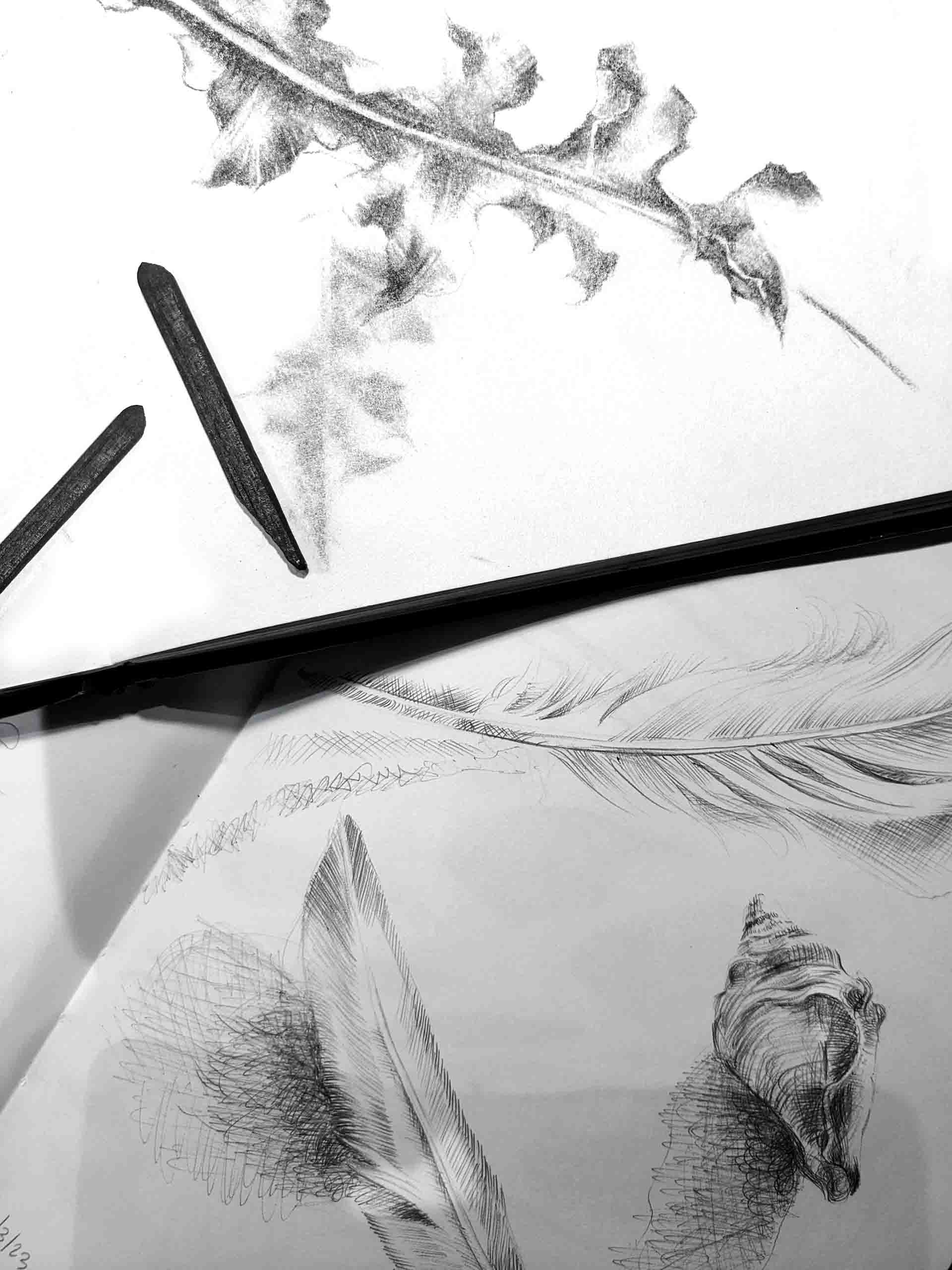 Janet Robinson Charcoal Sketch of leaves