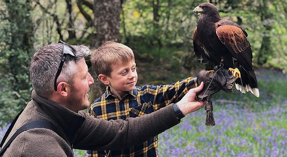 Young Boy & Falconer with Hawk
