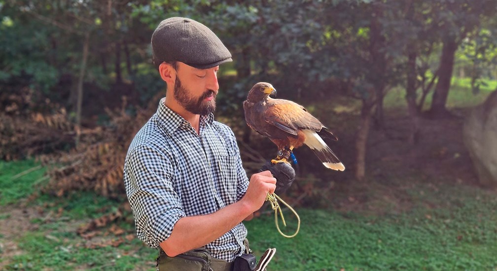 Falcon and handler