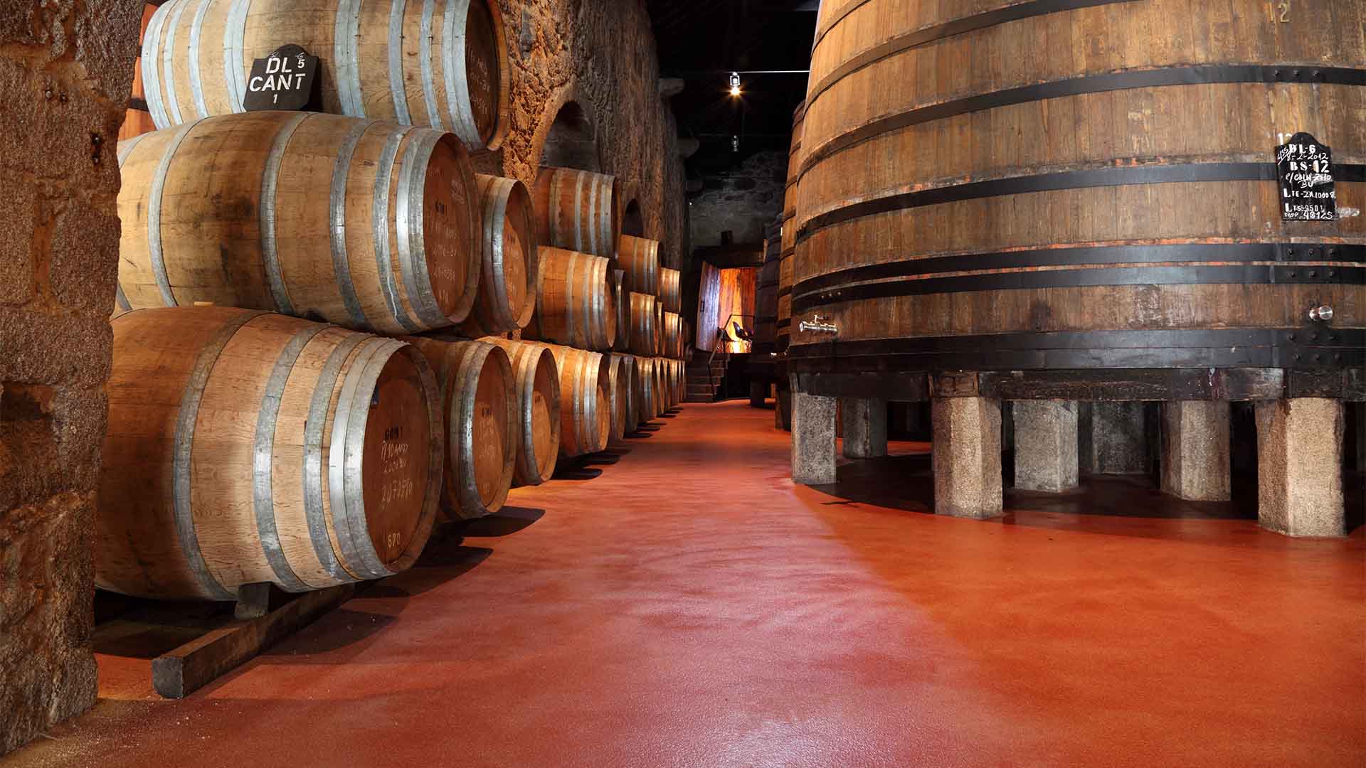 Cellars storing numerous barrells of varing sizes
