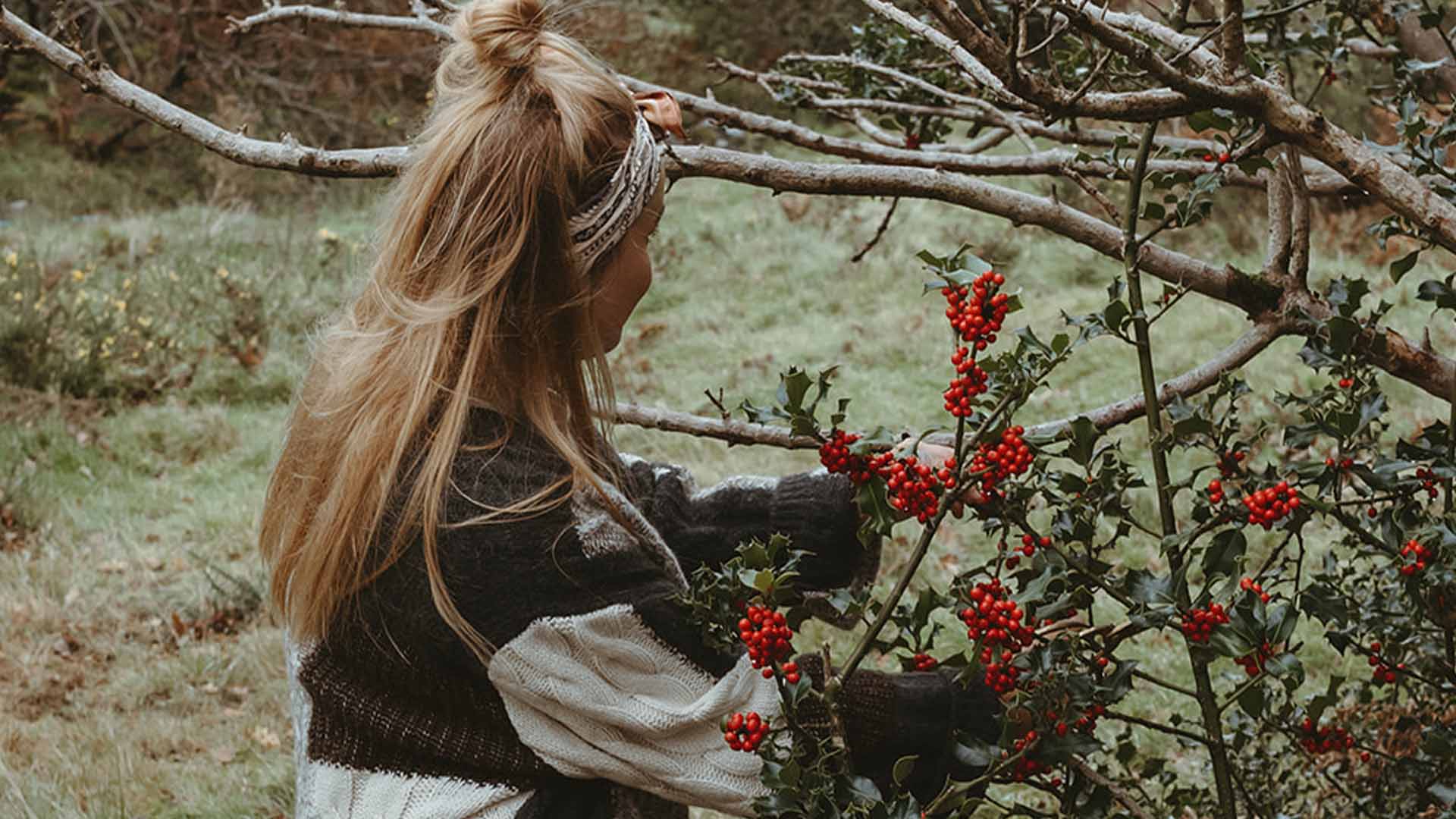 Collecting foliage for a Christmas wreath