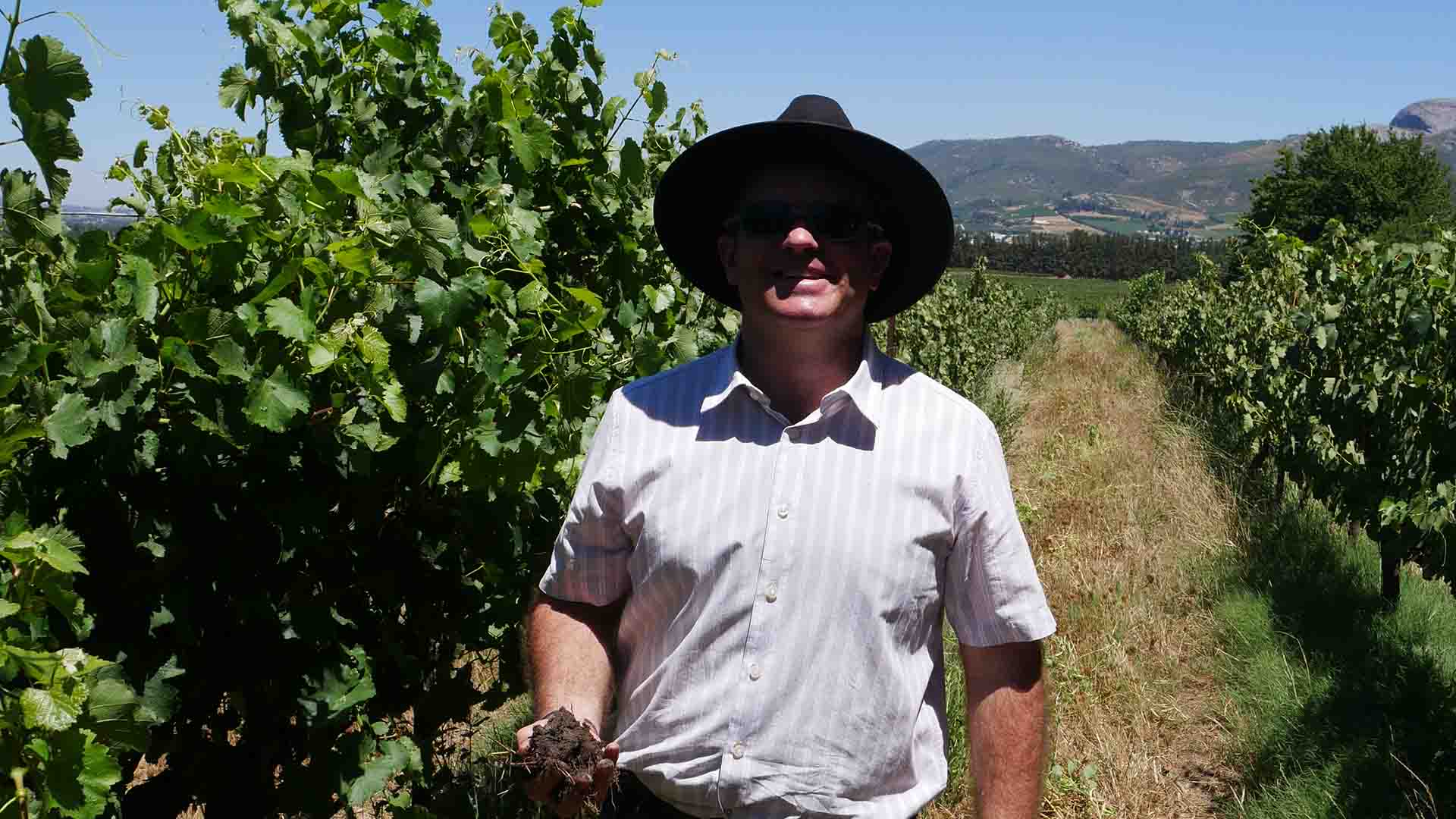 Jonathan Grieve from Avondale