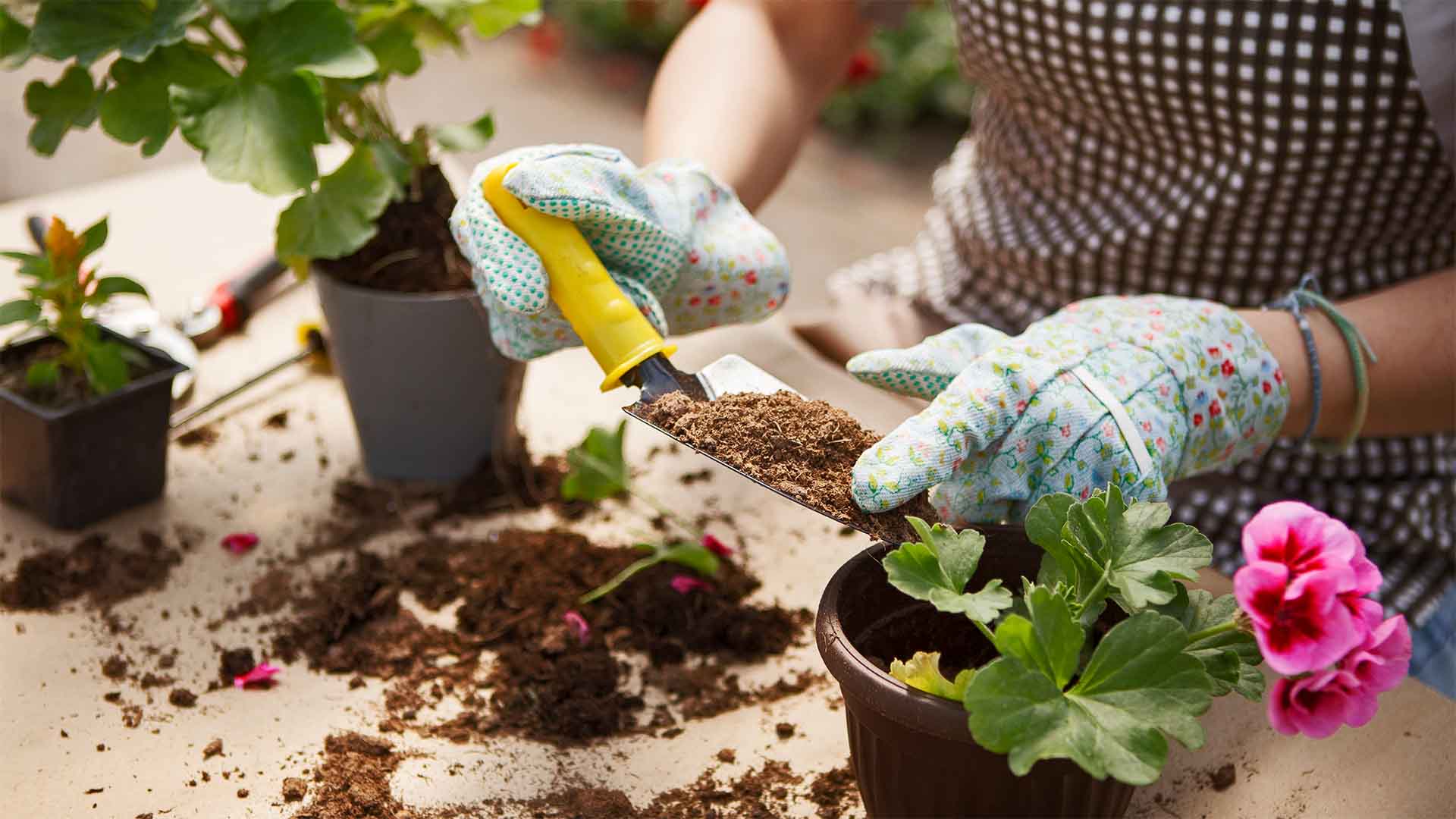 Making a hanging basket