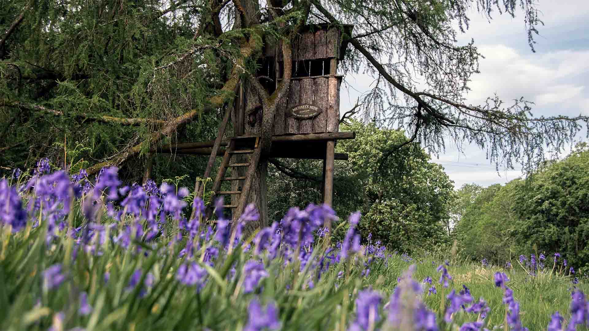 Michaels's hide at Wild Boar Estate