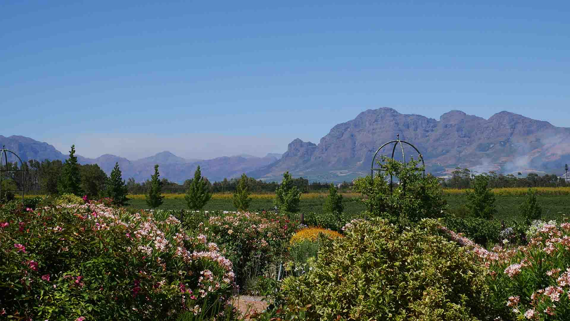 The Avondale Estate in South Africa