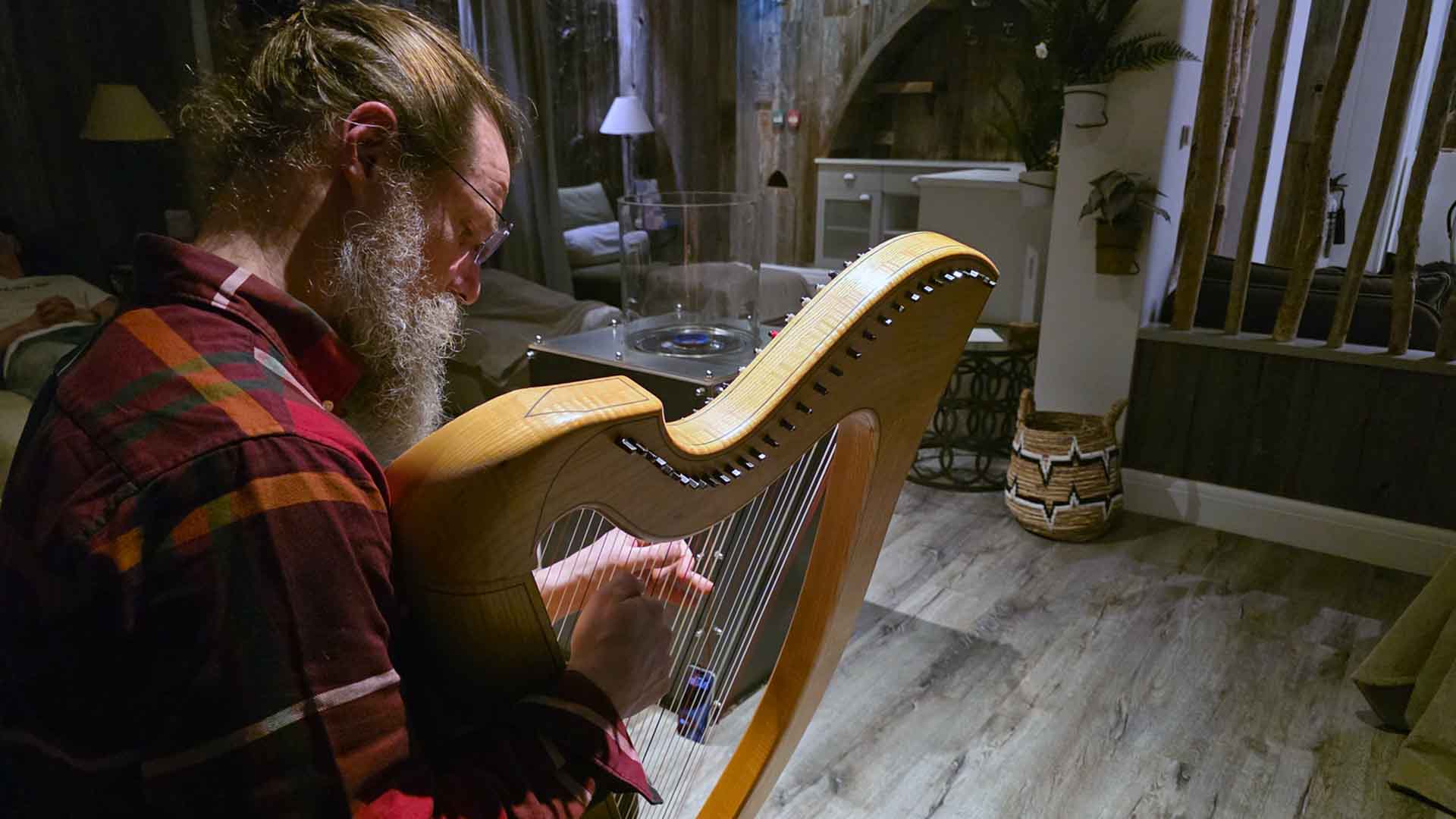 Gareth playing the harp