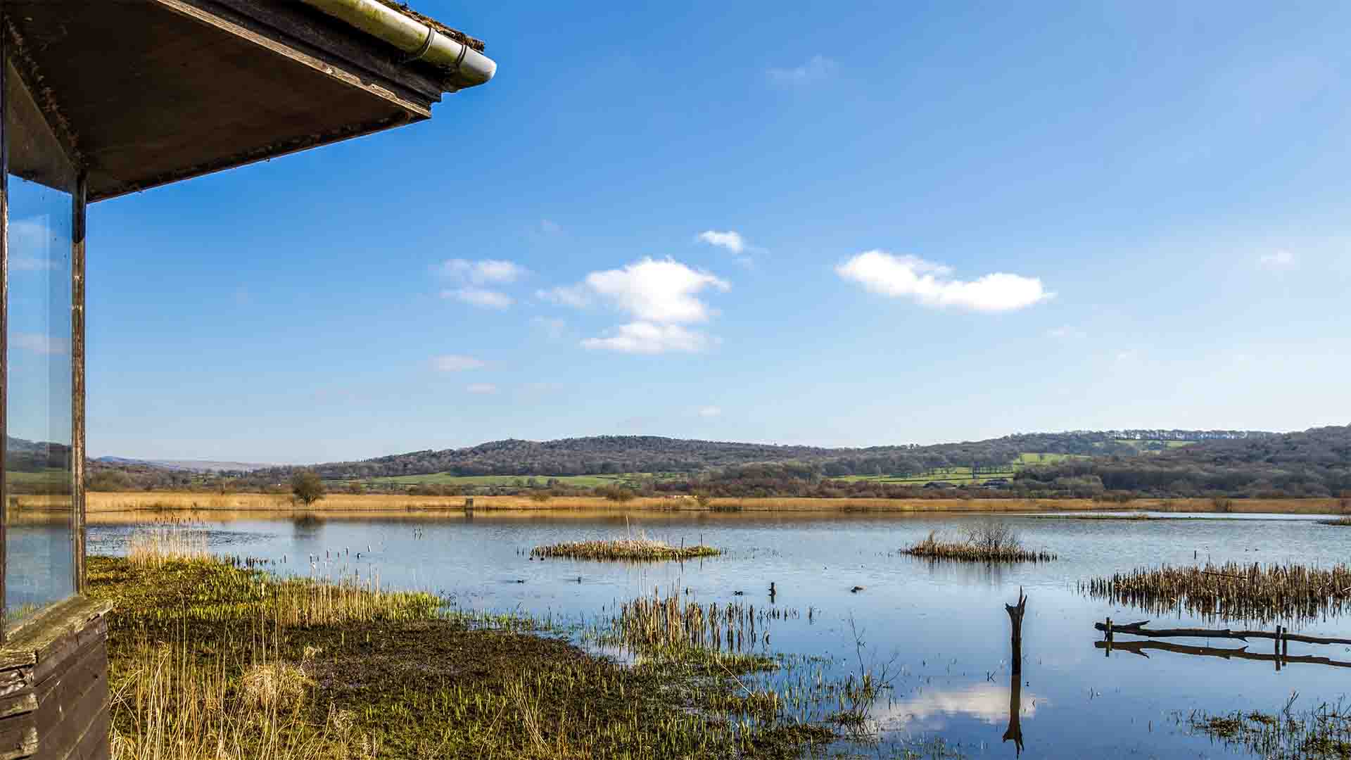 Hide overlooking Leighton Moss nature reserve