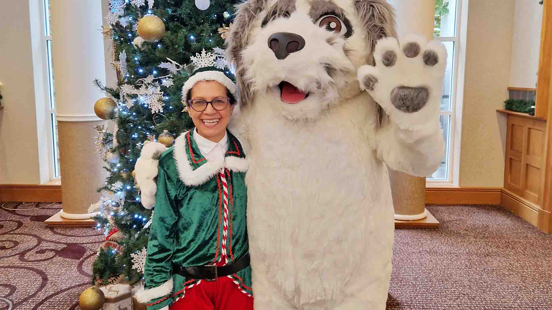 Sam the dog and an elf