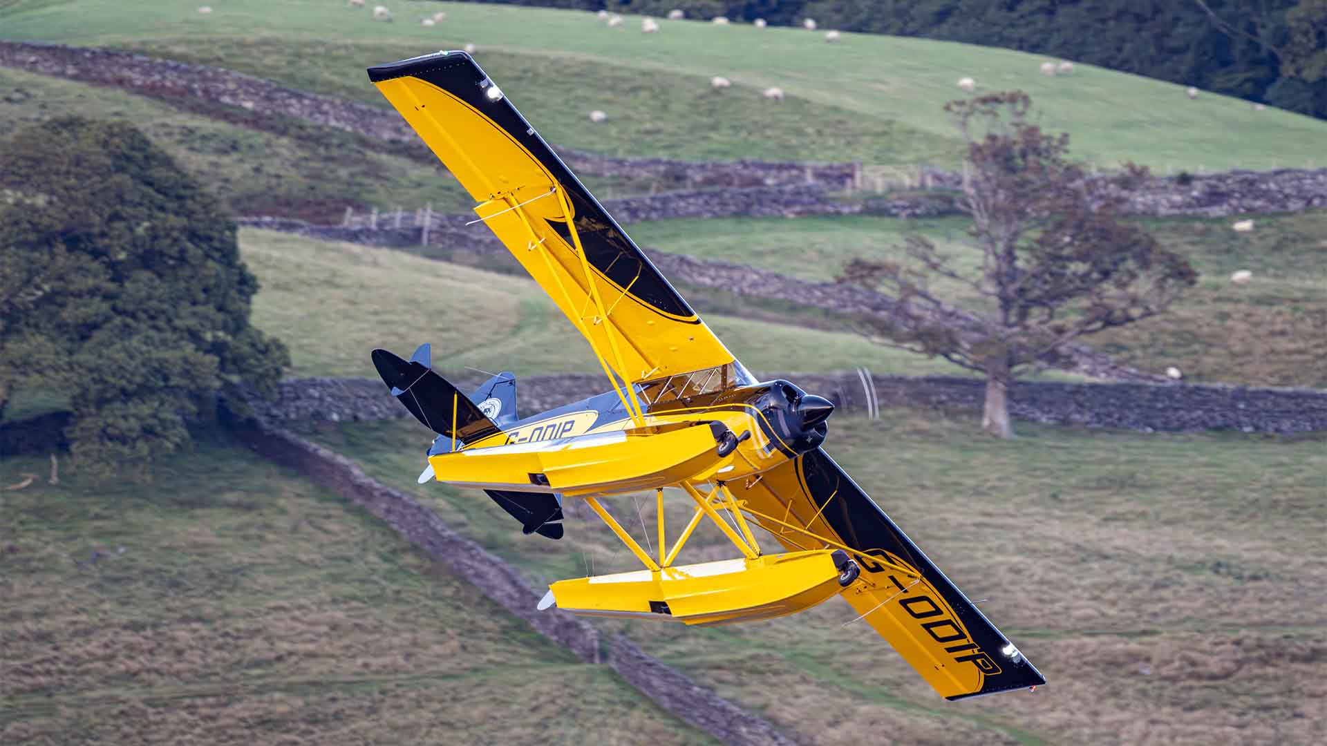 Seaplane