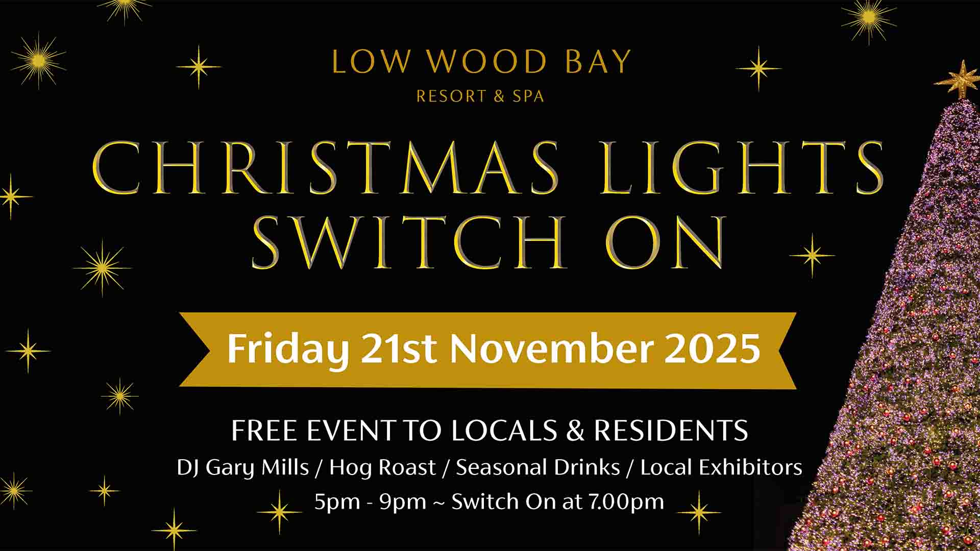 Christmas Lights Switch On